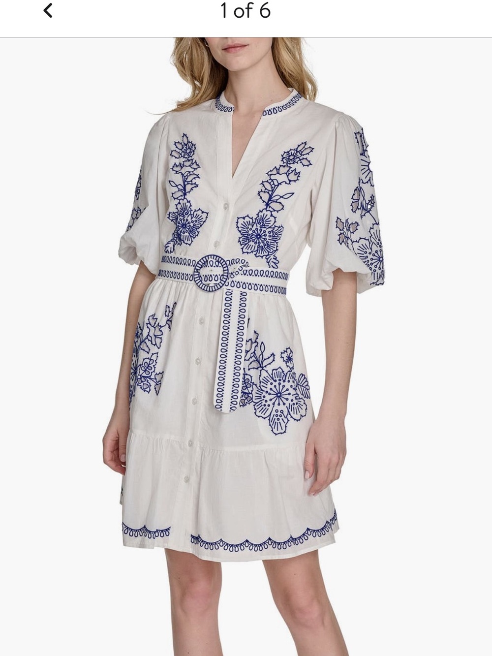 14 Eliza J White Cotton Dress with Blue Floral Embroidery